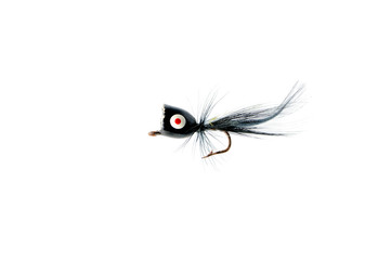 Fly for fishing on white background .