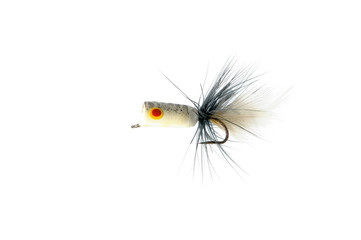 Fly for fishing on white background .