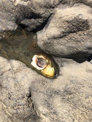 Plaża Muszle, Nikaragua © Agata