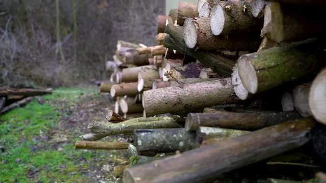 Image of stack of wood at countryside, Heuchlingen, Germany.