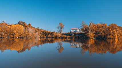 Autumn Colors Forest Woods Yellow Orange Reflecting on Blue Water Lake Landscape Natural Clear...