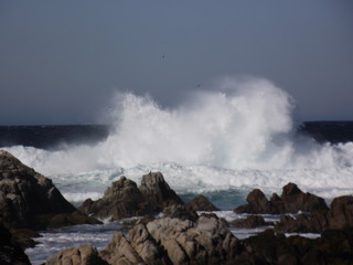 Pacific Ocean meets California