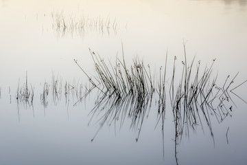 Abstracciones de la naturaleza