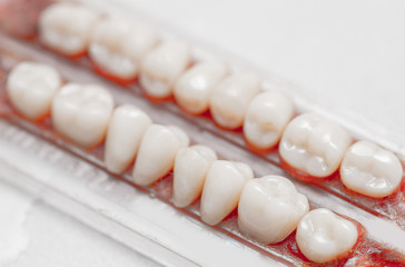 samples of human teeth, dental equipment, enamel color samples on a light background