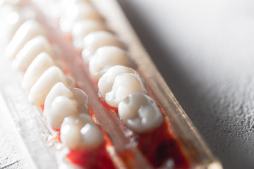 samples of human teeth, dental equipment, enamel color samples on a light background