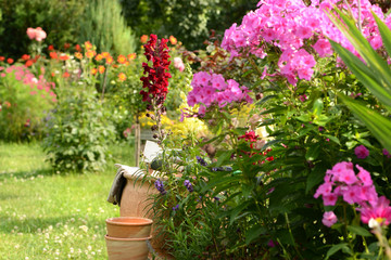 Garten 858 © K.-U. Häßler