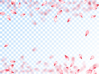 Pink sakura petals falling vector graphics.