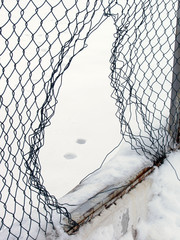 Hole in a meshed fence and footsteps. Robbery, heist, robbing, loot, burglary, plunder, theft,...