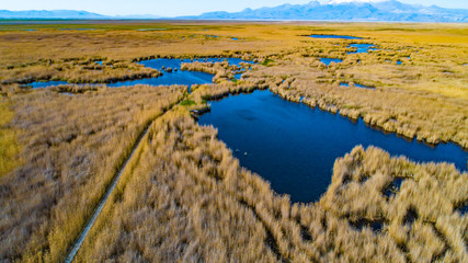 Marshes and Reeds wetland from top view aerial drone photo shoot. This is Sultan Sazligi national park in Develi Valley Kayseri Turkey. Beautiful pastoral landscape