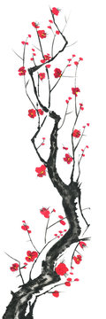 A branch of a blossoming sakura. Pink and red stylized flowers of plum mei and  wild cherry . Watercolor and ink illustration of tree in style sumi-e, go-hua,  u-sin. Oriental traditional painting. .