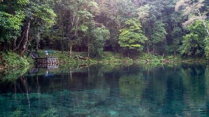Fototapeta na wymiar beautiful view of crystal clear water surrounded with dense green forest in Telaga Biru, Berau, Indonesia