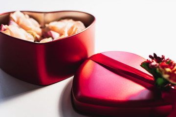 Valentine's day background. Flowers in a gift box on a white background.