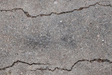 cracked cement texture