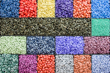 seed sunflower seeds, corn, radishes. painted agro color for sorting and labeling