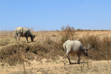 Travel Photography - beauty in the world