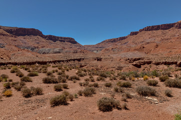 scenic view of Red House Cliffs along Utah State Route 276 highway in San Juan county