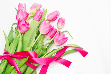 Pink tulips with pink ribbon on a white