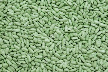 seed sunflower seeds. painted agro color for sorting and labeling