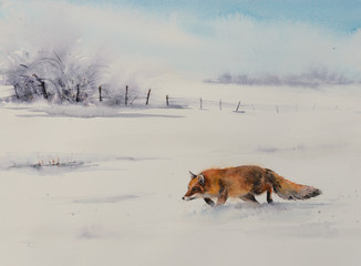 Winter scene from the wild nature- red fox running  in white snow. Picture created with watercolors.