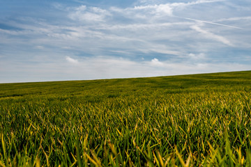 Prado cultivado con el cielo de fondo.