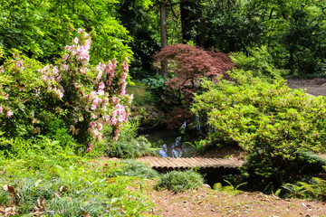 Japanese garden with lake in Batumi botanical garden, Georgia