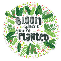 Vector lettering bloom where you are planted decor