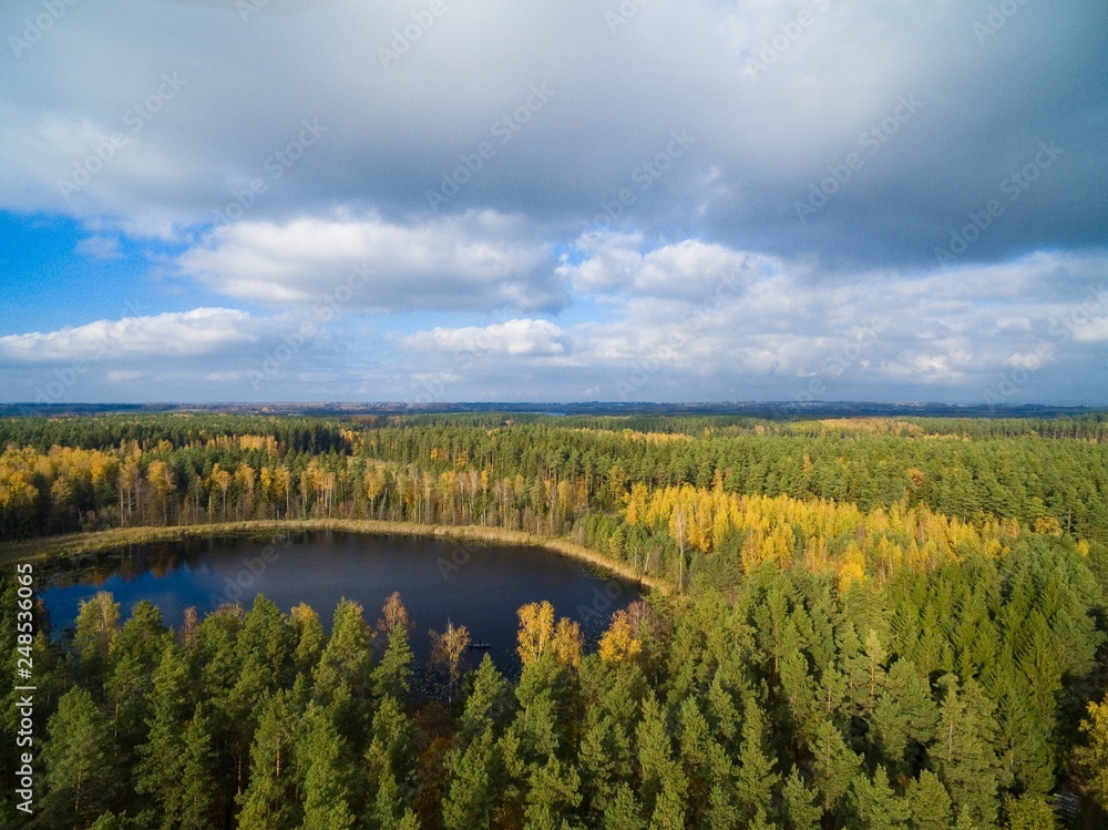 Canvas Prints Aerial view of beautiful covered with forest landscape of Mazury region during autumn season, Ogonki, Poland