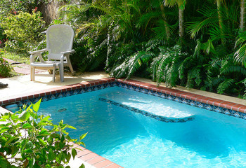 View of a small pool in a tropical setting. The long pool is surrounded by palms and other tropica...