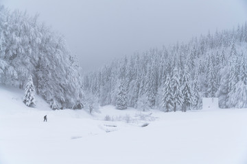 Fairytale forest landscape in winter season