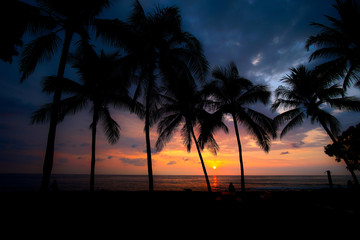 Fototapeta na wymiar Sonnenuntergang mit Palmen, Hawaii