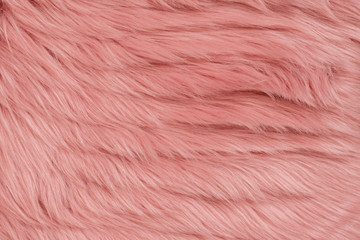 Pink fur background with lines. Pink sheepskin background and texture.