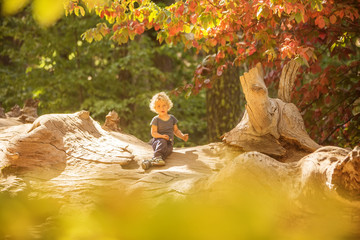 Hiker toddler boy visit Yosemite national park in California