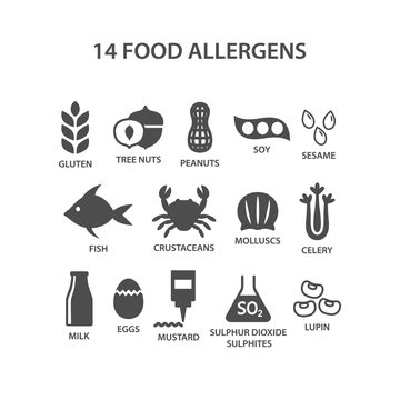 Food allergens icon set. Black isolated 14 food allergens with text names vector set. Gluten, peanuts, tree nuts, soy allergy silhouette icons.