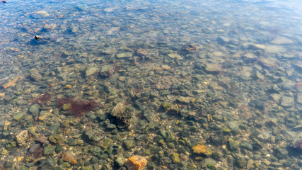 Rocks Just Below Surface