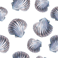 Seamless wallpaper of sea shell on white background. Watercolor - Illustration