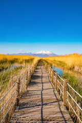 Wooden bridge walkway path on marshes and reeds in front of mountain. This is from Sultan Sazligi and Erciyes Mountain in Kayseri Turkey. Pastoral beautiful landscape background. 