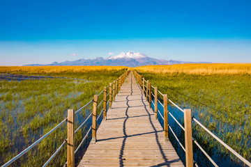 Fototapeta na wymiar Wooden bridge walkway path on marshes and reeds in front of mountain. This is from Sultan Sazligi and Erciyes Mountain in Kayseri Turkey. Pastoral beautiful landscape background. 