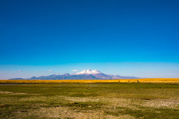 Mountain and Marshes, Reeds under the clean blue sky. This is Erciyes Mountain in Kayseri Turkey....