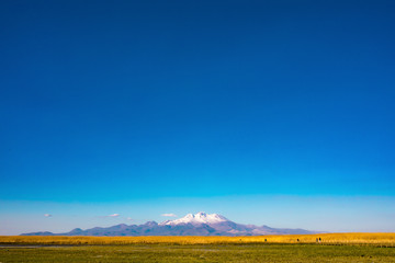 Mountain and Marshes, Reeds under the clean blue sky. This is Erciyes Mountain in Kayseri Turkey....