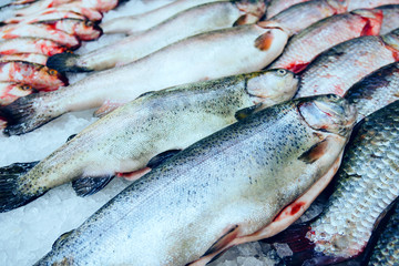 Fresh fish at the fish store on the ice counter