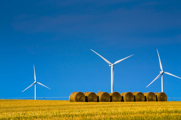 Wind mills behind golden field after harvest
