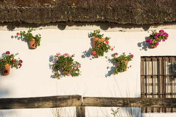 Facade of the rural house with flowers in the south of Spain