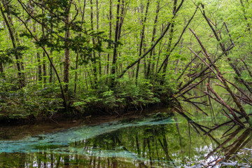 Japan Kamikochi 日本 上高地12