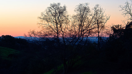 sunrise in the forest