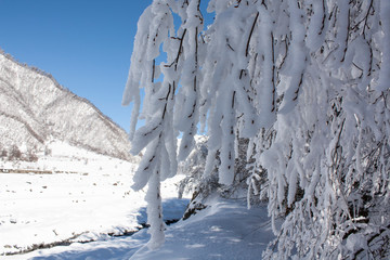 winter mountain landscape