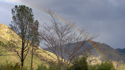 Obraz premium rainbow