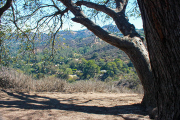Fototapeta na wymiar Hiking View from shade under trees