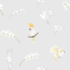 Seamless pattern, background with tropical birds