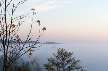 Sunrise in the country