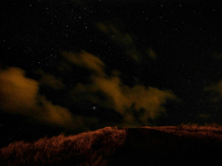 Hanauma Bay Stars